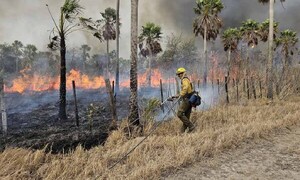 Fiscalía está detrás de dos fincas por el voraz incendio en la zona del Cerro Chovoreca – Prensa 5