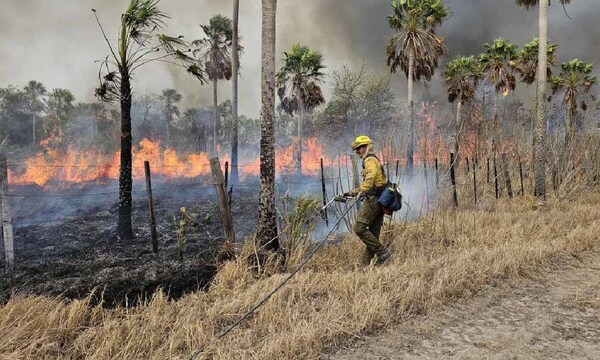 Fiscalía está detrás de dos fincas por el voraz incendio en la zona del Cerro Chovoreca – Prensa 5