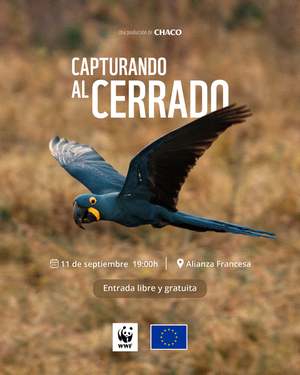 Invitan a la proyección del documental multisensorial "Capturando al Cerrado" con entrada libre y gratuita - .::Agencia IP::.