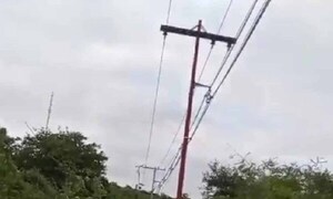 Niño de 5 años sufre una descarga eléctrica al tocar un cable de la ANDE en CDE – Prensa 5