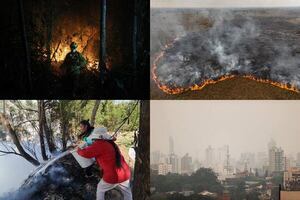 Bolivia, Brasil y Paraguay concentran los incendios forestales activos - Mundo - ABC Color