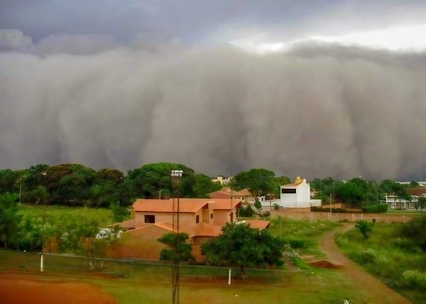 Mingo explicó el fenómeno de la "lluvia negra"