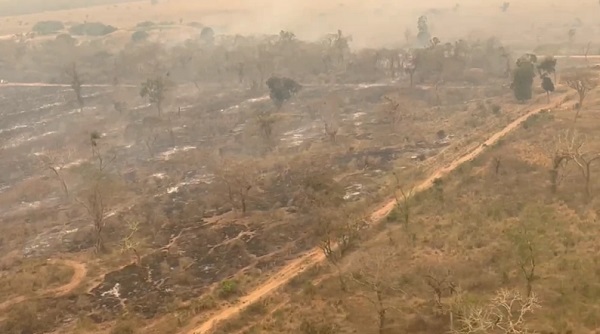 Pueblos indígenas responsabilizan a empresas por incendios en el Chaco