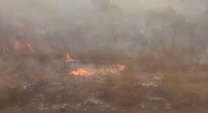 Video de incendio en el Chaco: visibilidad casi nula y aire casi “irrespirable”, reportan bomberos - Nacionales - ABC Color