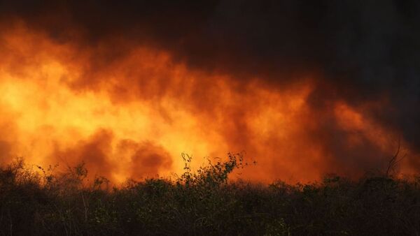 Incendio en el Chaco: Infona ubicó las fincas por imagen satelital y reportó a Fiscalía