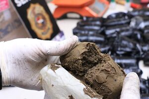 Frustran nuevos ingresos de marihuana "vip" procedente de EEUU, valuados en unos US$ 100 mil - .::Agencia IP::.