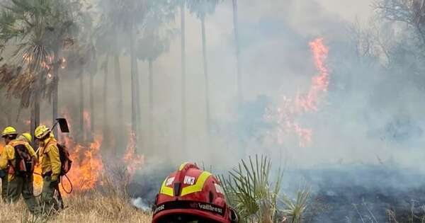 Diario HOY | Instan a flexibilizar horario laboral de bomberos