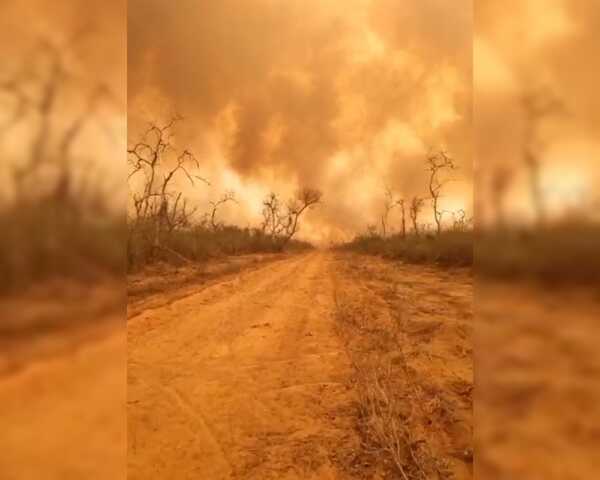“En la Guerra del Chaco derramaron sangre y ahora están derramando sudor, ahora la guerra es contra el fuego”, refiere coma