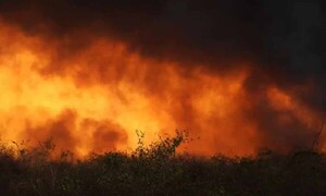 Incendio en el Chaco: Infona ubicó las fincas por imagen satelital y reportó a Fiscalía – Prensa 5