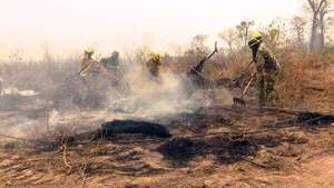 Incendios forestales: exfiscal precisa las sanciones a las que se exponen los presuntos responsables - Policiales - ABC Color