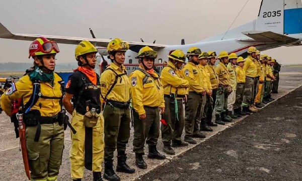 Ministerio de Trabajo pide flexibilidad para bomberos por incendios forestales – Prensa 5