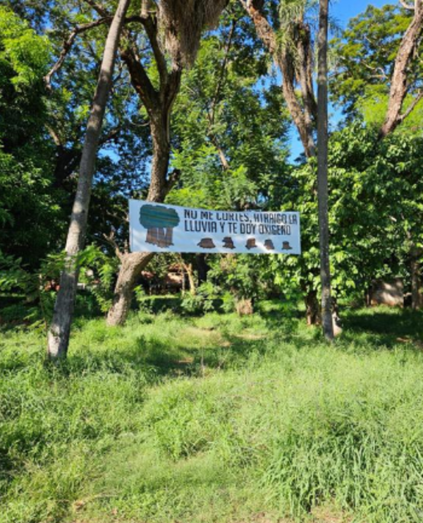 Exigen ratificación de ley para proteger el bosque San Vicente - Portal Digital Cáritas Universidad Católica