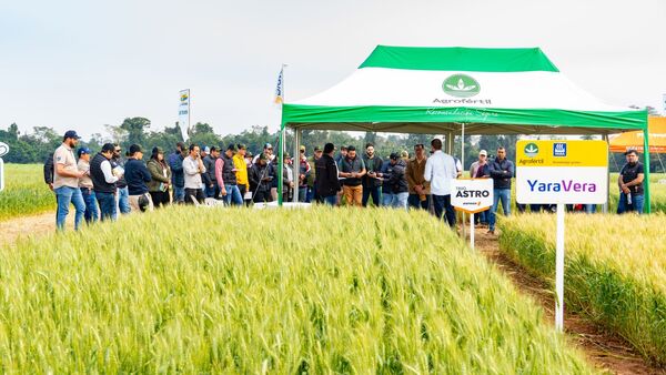 Agrofértil destacó nueva variedad