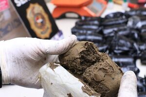 Frustran nuevos ingresos de marihuana «vip» procedente de EEUU, valuados en unos US$ 100 mil