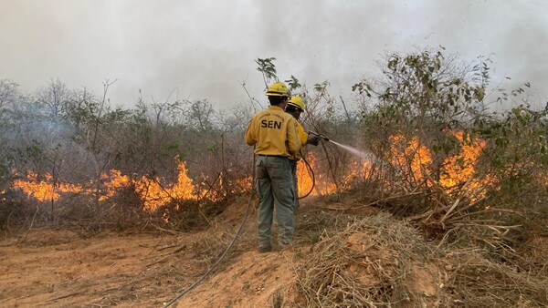 Suramérica tiene 7.821 incendios forestales activos
