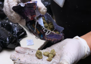 Incautan marihuana vip en paquetes provenientes de Miami