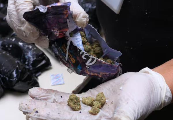 Incautan marihuana vip en paquetes provenientes de Miami