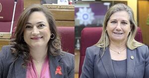 La Nación / Declaran de interés nacional el Foro de Mujeres Parlamentarias del Mercosur