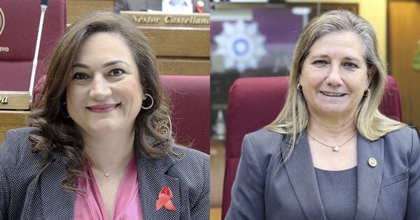 La Nación / Declaran de interés nacional el Foro de Mujeres Parlamentarias del Mercosur