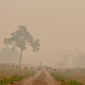 Declaran emergencia ambiental y sanitaria en Boquerón  - Noticias del Chaco - ABC Color