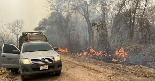 La Nación / Responsables del extenso incendio en el Chaco se exponen a sanciones de hasta 20.000 jornales