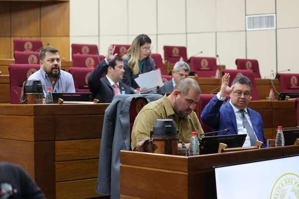 Comisión “garrote” anti-ABC retoma hoy ataque contra las ONG - Política - ABC Color
