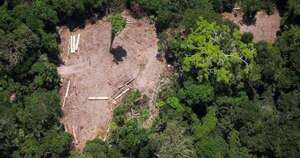 La Nación / Brasil solicita a la UE postergar la implementación de ley antideforestación