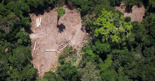 La Nación / Brasil solicita a la UE postergar la implementación de ley antideforestación