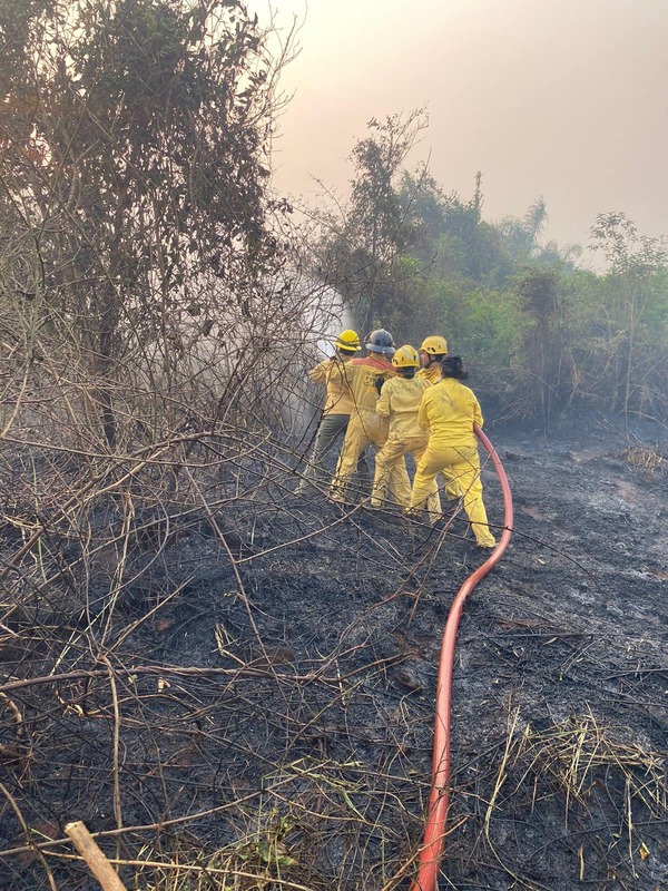 Piden a empleadores a flexibilizar horarios de trabajadores que son bomberos - trece