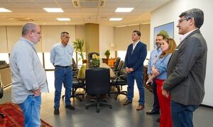 Prestigioso congreso internacional de grandes redes eléctricas se realizará en Ciudad del Este – Diario TNPRESS