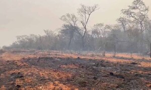 Uruguay cederá avión hidrante a Paraguay para combatir incendios – Prensa 5