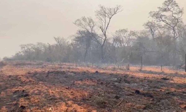 Uruguay cederá avión hidrante a Paraguay para combatir incendios – Prensa 5