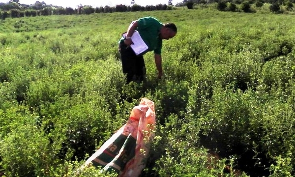 Fortalecerán estaciones meteorológicas para beneficio de la agricultura familiar campesina - .::Agencia IP::.