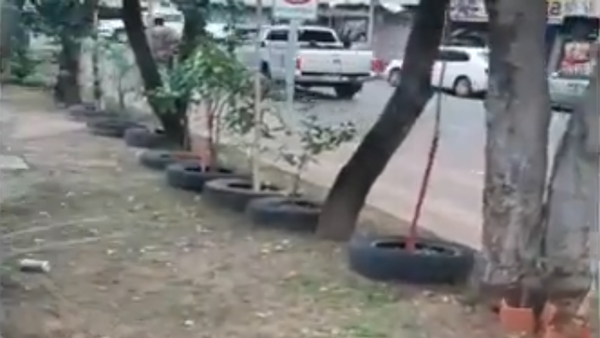 Luque: Vecina hermosea con plantas un paseo central y denuncia que Comuna quiere sacar todo