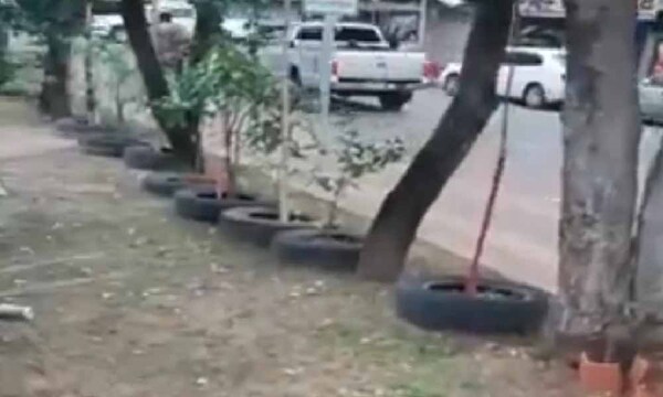 Luque: Vecina hermosea con plantas un paseo central y denuncia que Comuna quiere sacar todo – Prensa 5