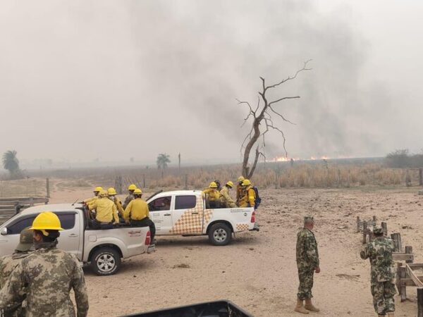 Casi 160.000 hectáreas afectadas por los incendios forestales en el Chaco - El Independiente
