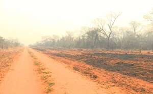 Incendios en el Chaco: ¿en cuántos días el avión hidrante uruguayo paliaría la situación? - Nacionales - ABC Color