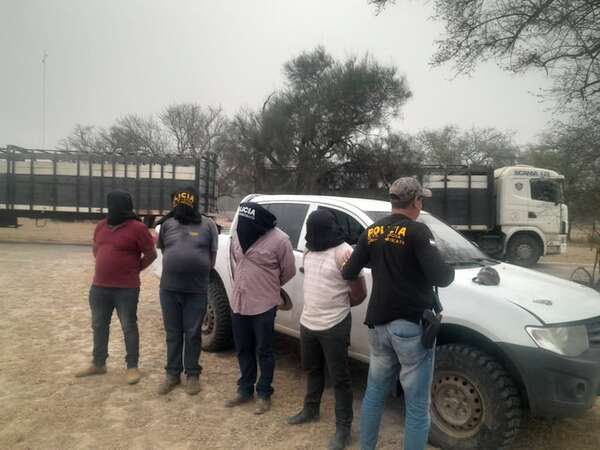Logran recuperar 33 animales vacunos denunciados como robados en Fuerte Olimpo - Noticias del Chaco - ABC Color