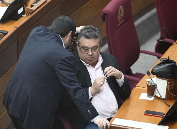Comisión garrote emitirá conclusiones sobre las ONG con lo que tenga en diez días - Política - ABC Color