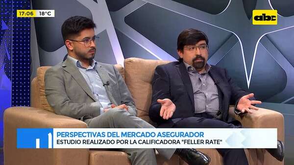 Perspectivas del mercado asegurador: estudio realizado por la calificadora Feller Rate - Gente & Negocios - ABC Color