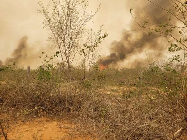 Fuego ya consumió 2.400 hectáreas del Monumento Nacional Cerro Chovoreca - Nacionales - ABC Color