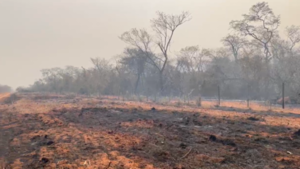 Incendios forestales ya consumieron más de 2 mil hectáreas del Cerro Chovoreca