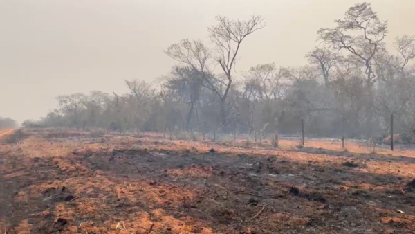 Incendios forestales ya consumieron más de 2 mil hectáreas del Cerro Chovoreca