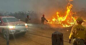 Incendios ya consumieron más de dos mil hectáreas del Cerro Chovoreca
