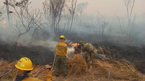 Sudamérica acumula en este 2024 el mayor número de incendios forestales en 15 años