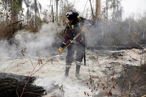 Sudamérica superó su récord de incendios en un año - .::Agencia IP::.