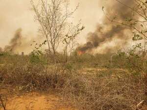 Incendios forestales: Mades reporta más de 230 puntos de calor en Paraguay - Nacionales - ABC Color