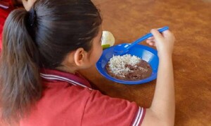 Hambre Cero: Multan en más de G. 1.700 millones a proveedora por supuesto incumplimiento – Prensa 5