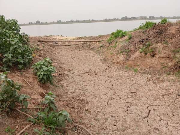 Mínima histórica ya fue superada en cuenca del pantanal tras vertiginoso descenso del río Paraguay - Noticias del Chaco - ABC Color