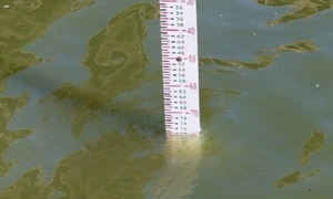 Río Paraguay alcanza su nivel más bajo en 120 años en Asunción - OviedoPress
